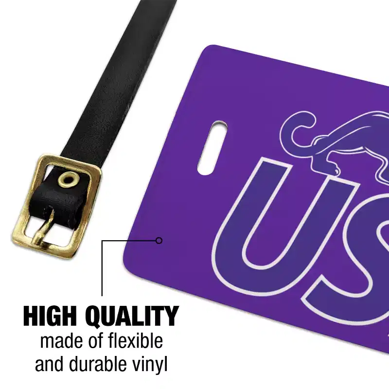 University of Sioux Falls Primary Logo Luggage ID Tags Suitcase CarryOn Cards Set of 2