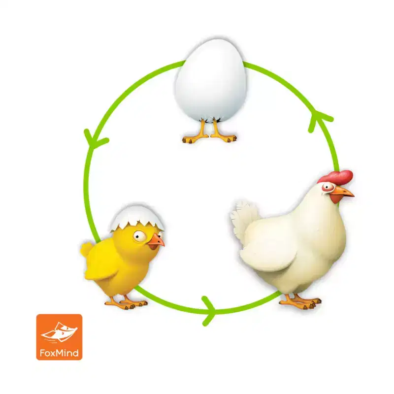 Chickadoo Board Game