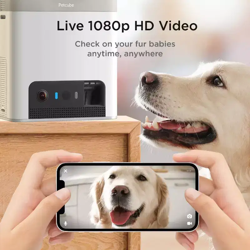 Petcube Bites 2 Lite Interactive WiFi Pet Monitoring Camera with Phone App and Treat Dispenser