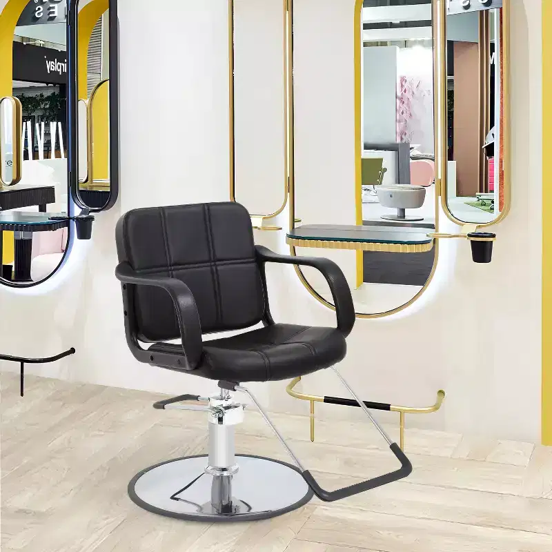Barber Chair Professional Salon Chair Heavy-Duty Hydraulic Pump with Swivel Base