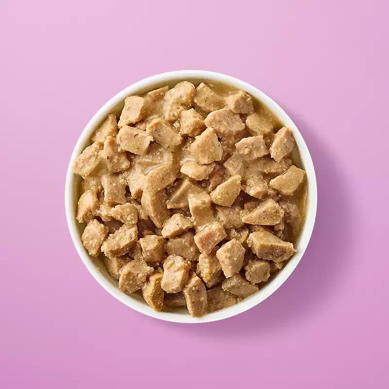 Minced Salmon Recipe Cuts in Broth Wet Cat Food - Kindfull™ 2.75oz