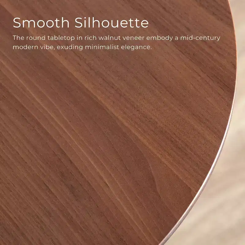 HOMES: Inside + Out Creekside 23" Round Mid-Century Modern Accent Side Table Walnut