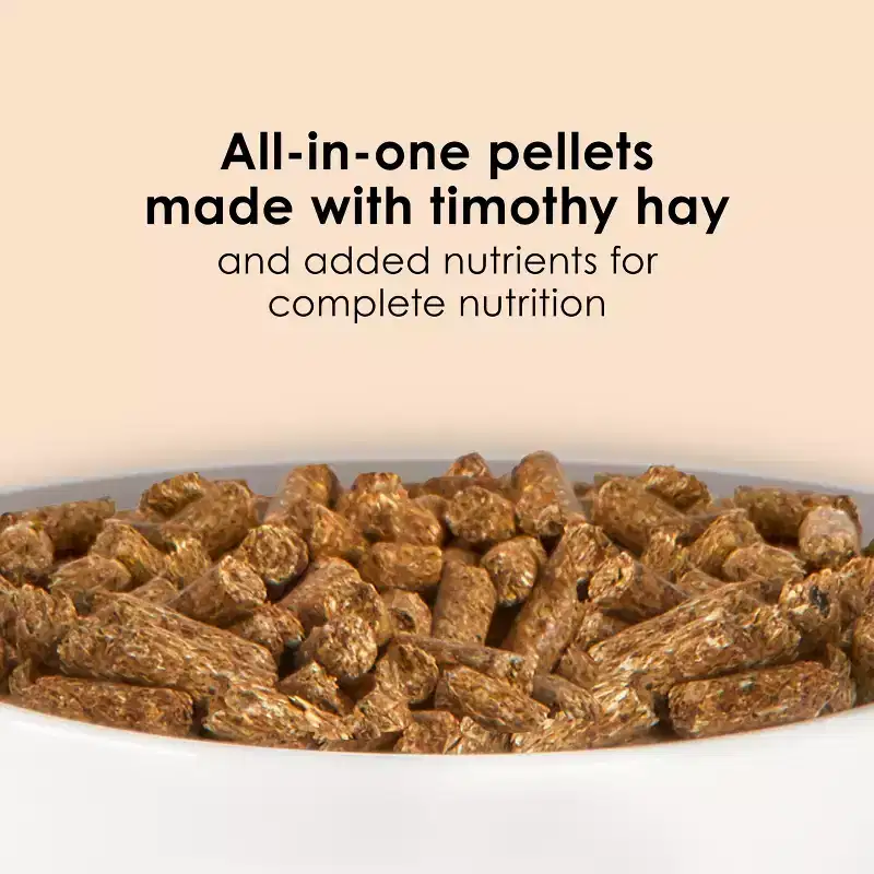 Kaytee Forti-Diet Timothy Select Unflavored Dry Rabbit Food - 3.5lbs: All Ages, All Breed Sizes, Small Animal