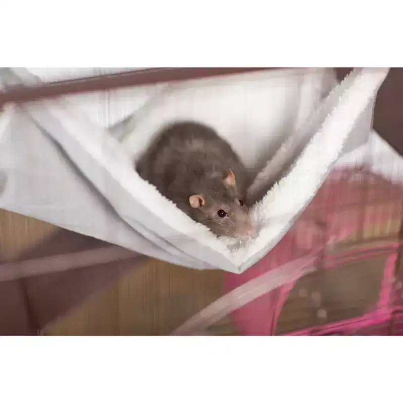 Replacement Hammock