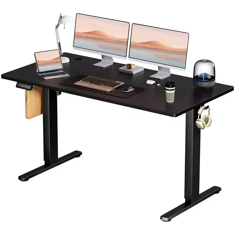 Bestier Height Adjustable Electric Standing Desk, 55 x 24 Ergonomic Sit Stand up Desk with Hooks and Wire Holes, Memory Computer Home Office Desk